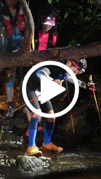 BIB:  <button type="button" onclick="openModal(27612342)" class="btn btn-primary btn-sm float-right" data-toggle="modal" data-target=".modal-high-quality">
                <i class="fa fa-download"></i> Download
                </button>